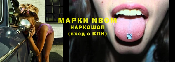 амф Алзамай