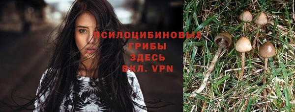 амф Алзамай