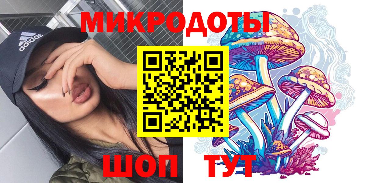 Псилоцибиновые грибы Psilocybe Алушта