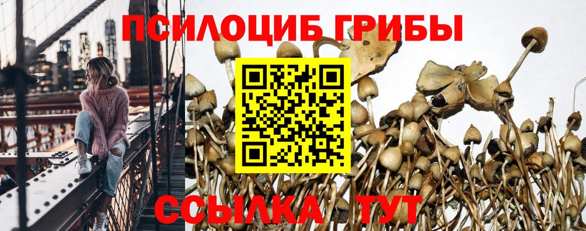 Алушта  Псилоцибиновые грибы Psilocybine cubensis  Вход с VPN 
