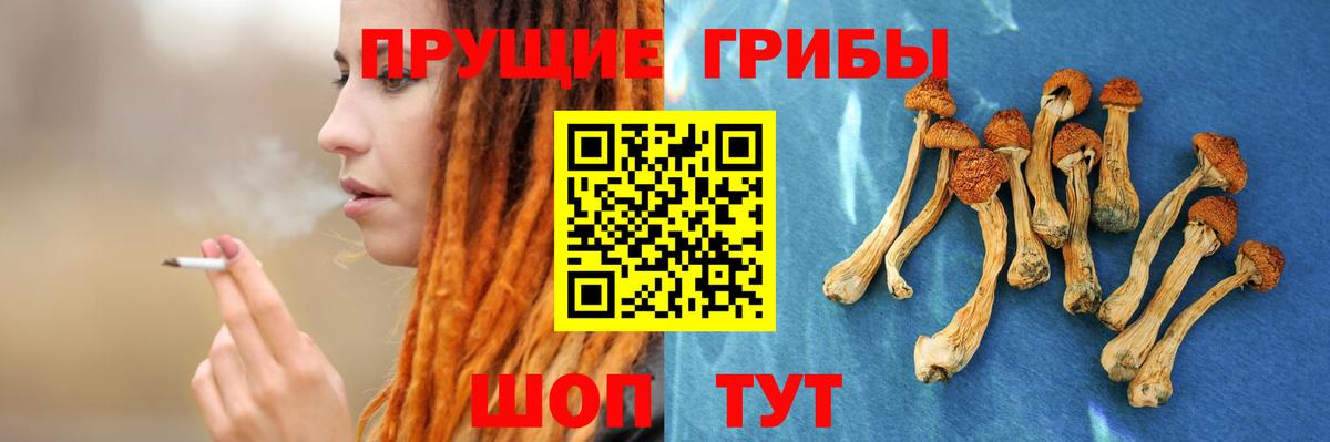Галлюциногенные грибы прущие грибы Алушта
