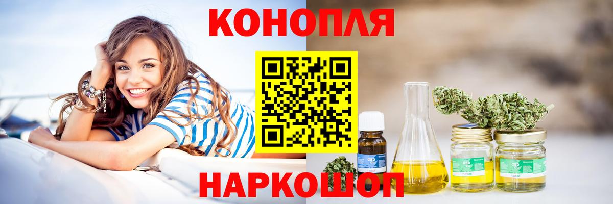Бошки Шишки планчик Алушта